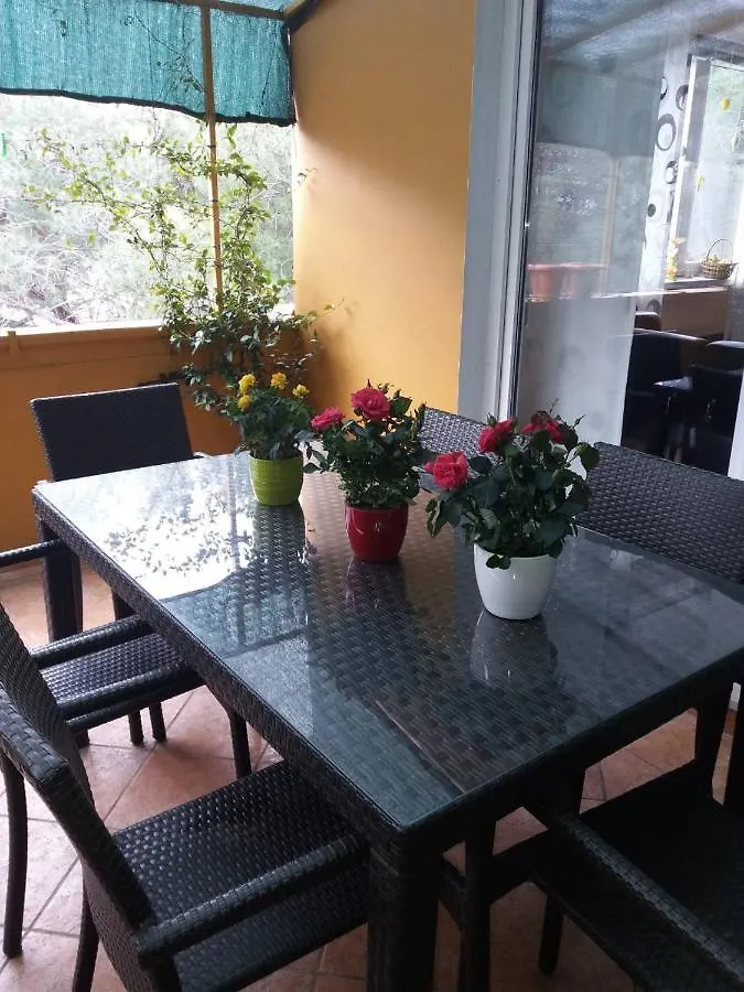 Apartman Lucica زادار كرواتيا